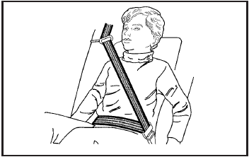 4. Buckle, position, and release the safety belt as