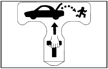 Notice: Do not use the emergency trunk release