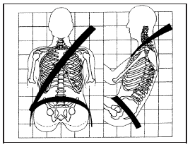 The lap part of the belt should be worn low and